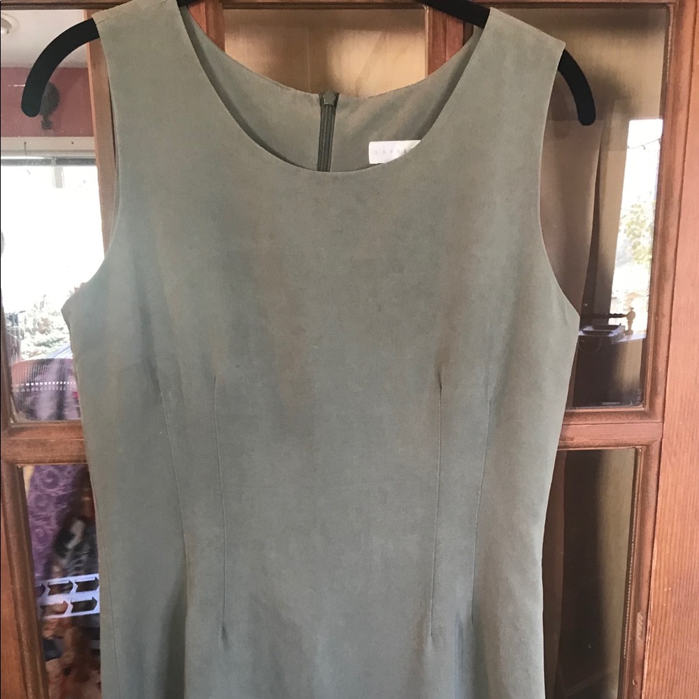 Express Silk Dress